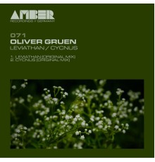 Oliver Gruen - Leviathan / Cycnus