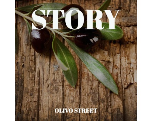 Olivo Street - Story