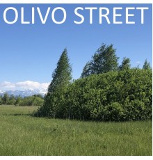 Olivo Street - Olivo Street