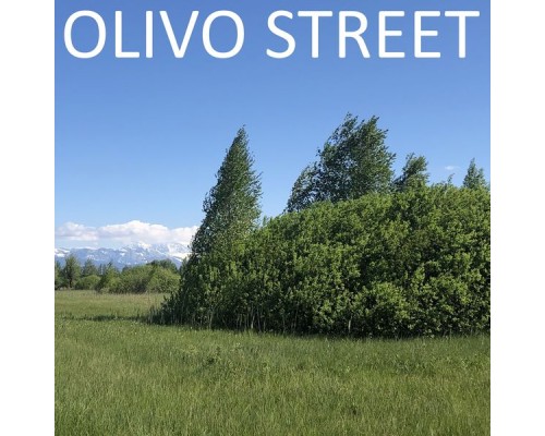 Olivo Street - Olivo Street