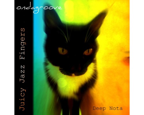 Ondagroove - Juicy Jazz Fingers