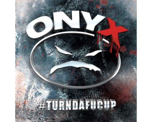 Onyx - #turndafucup