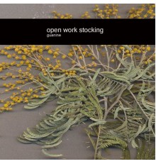 Open Work Stocking - Guanine