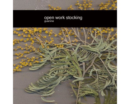 Open Work Stocking - Guanine