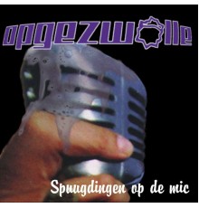 Opgezwolle - Spuugdingen Op De Mic