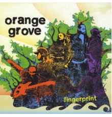 Orange Grove - Fingerprint