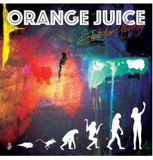 Orange Juice - Evolution Monkey