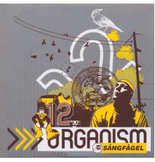 Organism 12 - Sångfågel