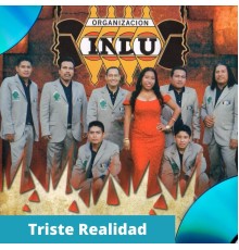 Organizacion Indu - Triste Realidad