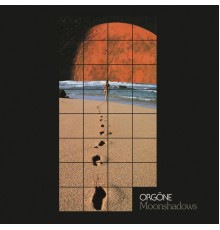 Orgone - Moonshadows