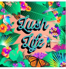 Orion - Lush Life