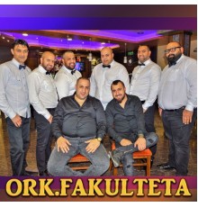 Ork.Fakulteta - 2017