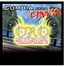 Oro Vallenato - Cumbia de la Changa
