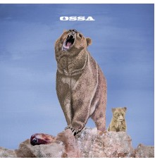 Ossa - Ossa