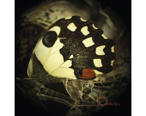 Ossicles - Music for Wastelands Ossicles - Music for Wastelands