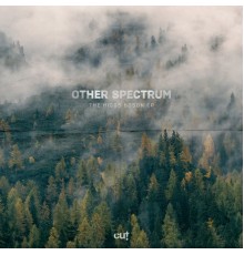 Other Spectrum - The Higgs Boson EP