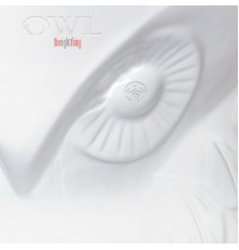 Owl - The Right Thing