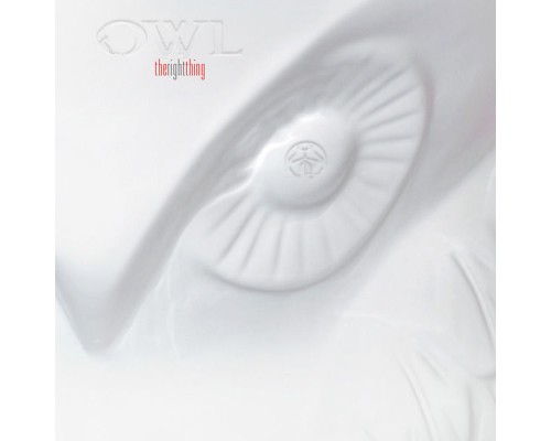 Owl - The Right Thing