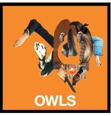 Owls - Owls