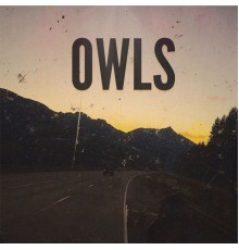 Owls - Owls