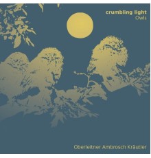 Owls - Crumbling Light