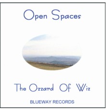 Ozzie - Open Spaces