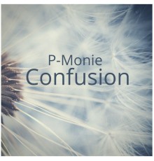 P-Monie - Confusion