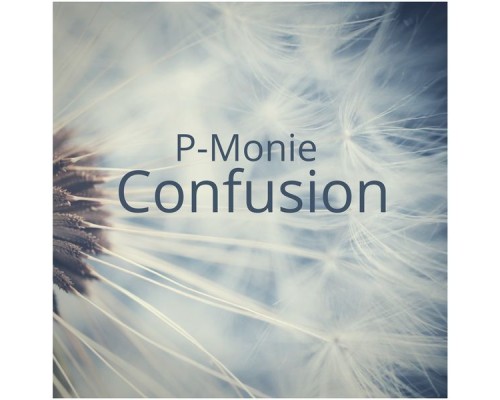 P-Monie - Confusion