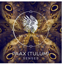 PAAX (Tulum) - Senses