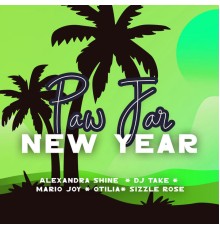 PAW JAR - New Year