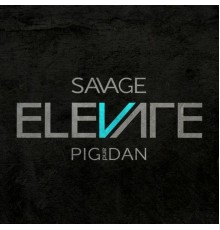 PIG&DAN - Savage (Original Mix)