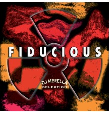 PNS - Fiducious (DJ Merella Selection)