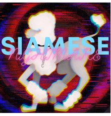 POLYACHi - SiAMESE NiGHTMARE (single)