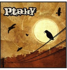 PTAKY - Ptaky