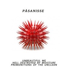 Paasanisse - Paasanisse I Feberland