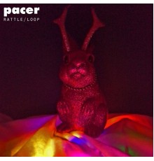 Pacer - Rattle / Loop