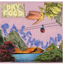 Palehound - Dry Food