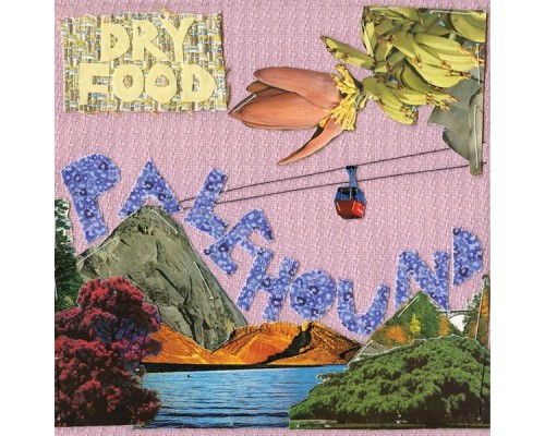 Palehound - Dry Food