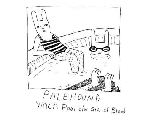 Palehound - YMCA Pool