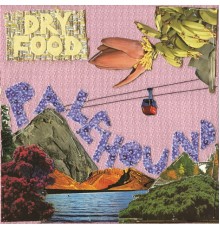 Palehound - Dry Food