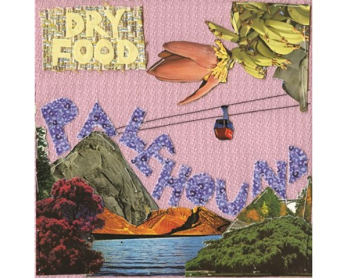 Palehound - Dry Food