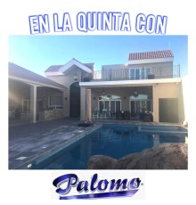 Palomo - En la Quinta Con