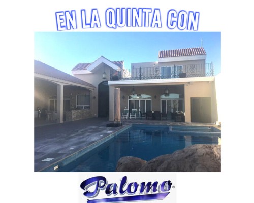 Palomo - En la Quinta Con