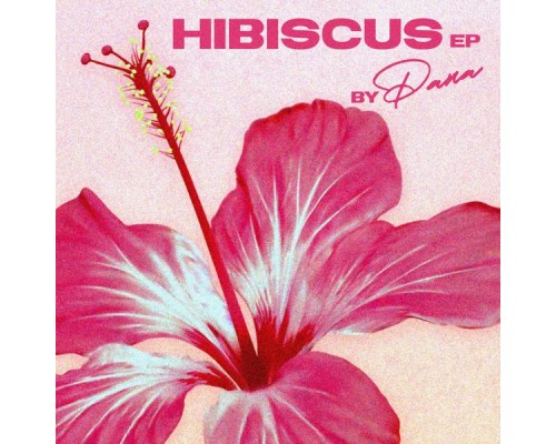 Pana - Hibiscus