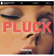 Pangal - Pluck