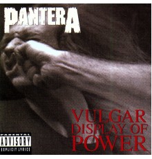 Pantera - Vulgar Display of Power