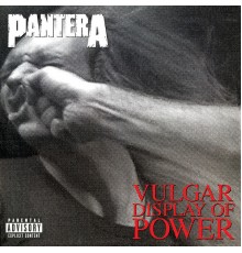 Pantera - Vulgar Display of Power (Deluxe Edition)