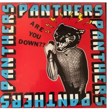 Panthers - Are You Down??