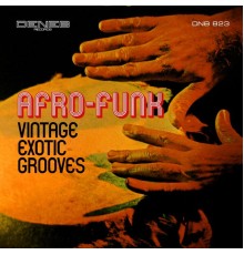 Paolo Ferrara - Vintage Exotic Grooves (Afro-Funk)