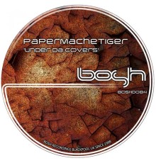 PaperMacheTiger - Under Da Covers